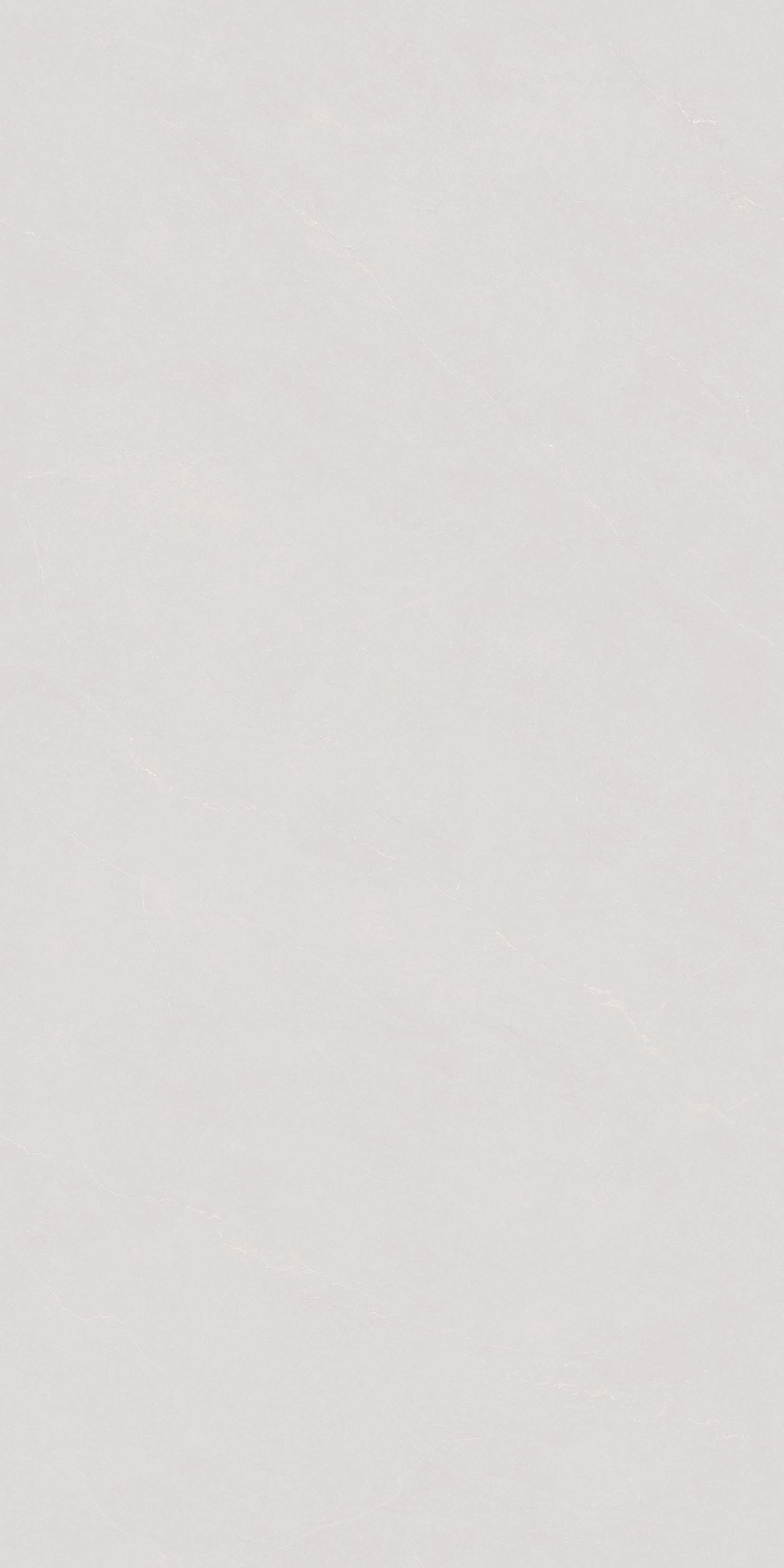 P312658