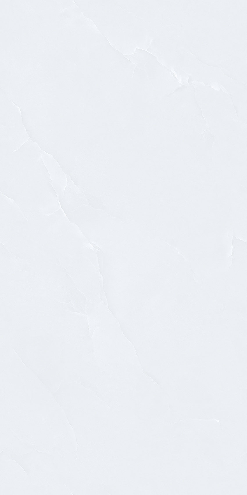 P312672