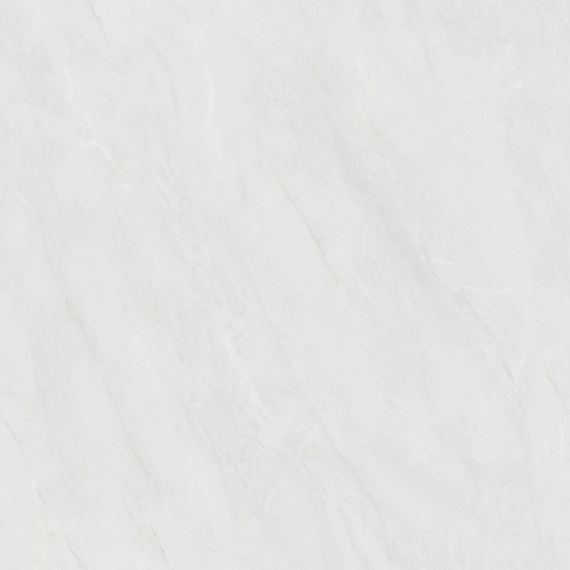 P81201