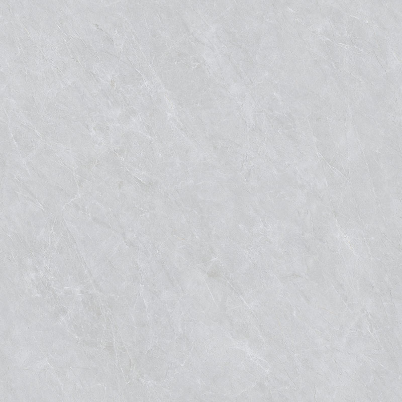P81202