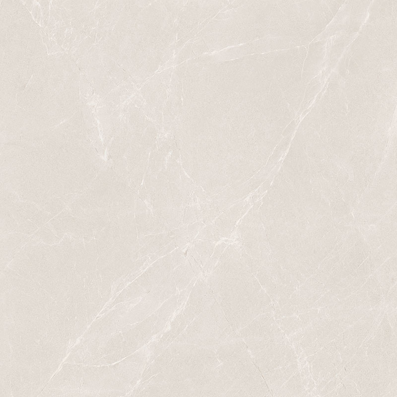 P81203