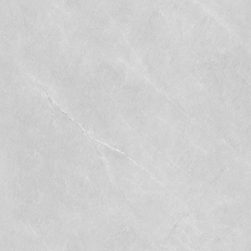 P81207