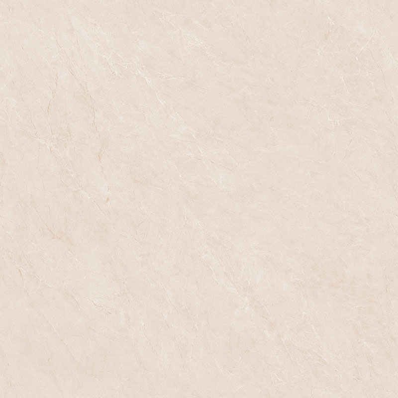 P81210