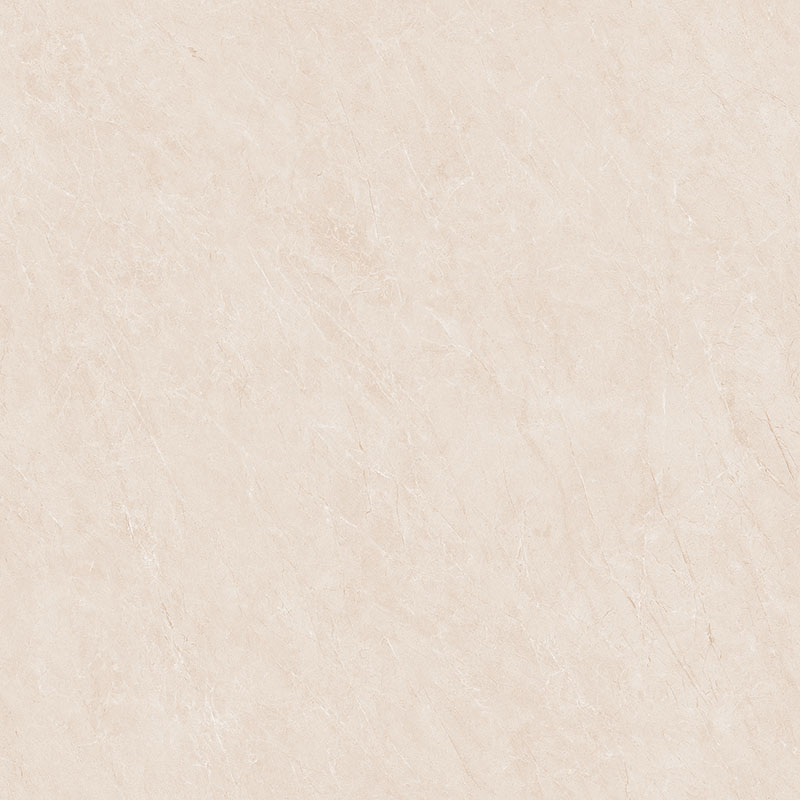P81210