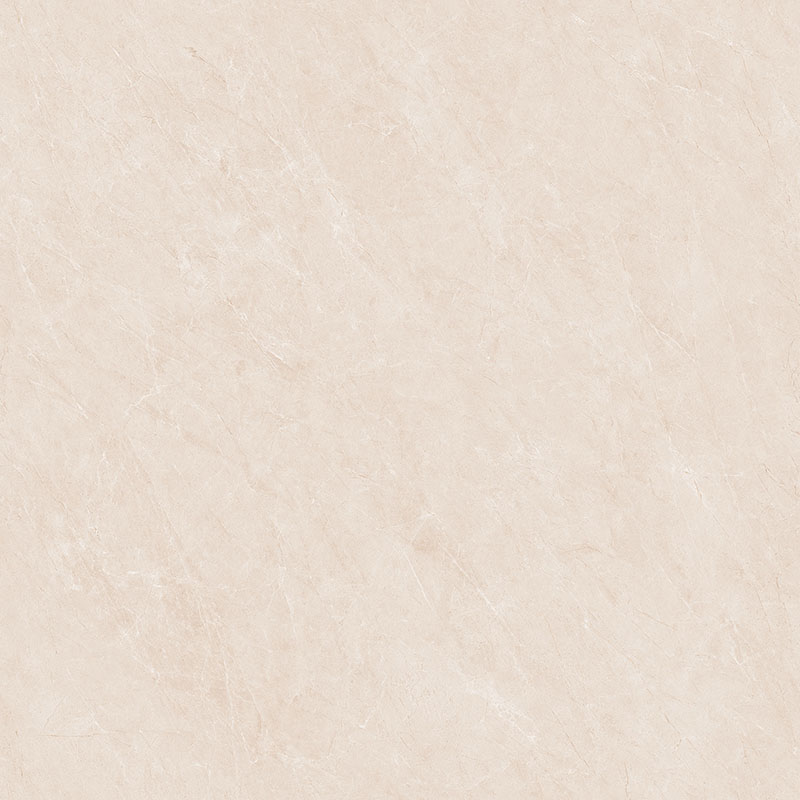 P81210