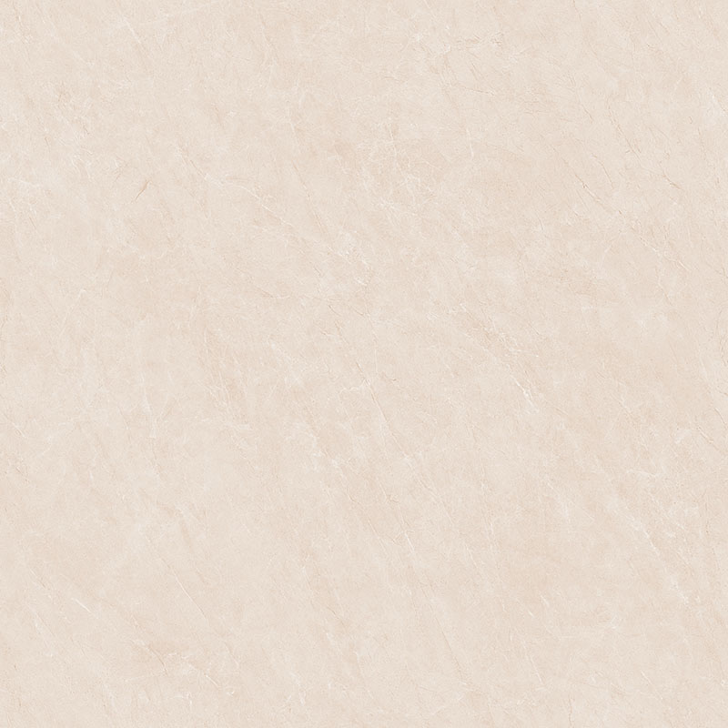 P81210