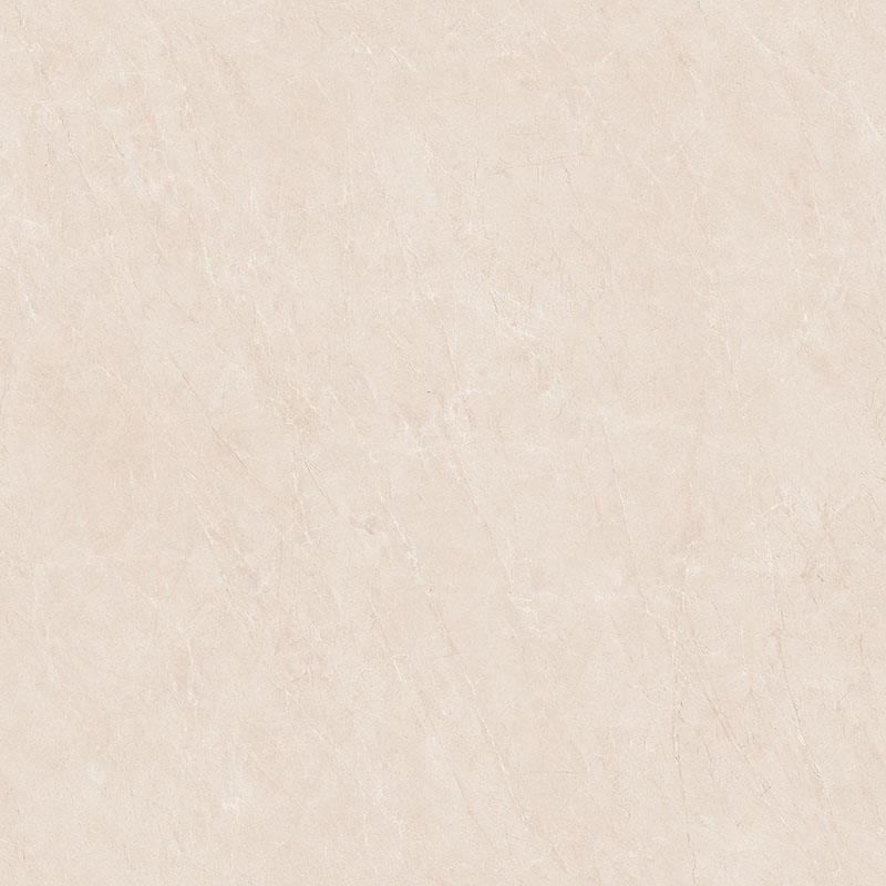 P81210